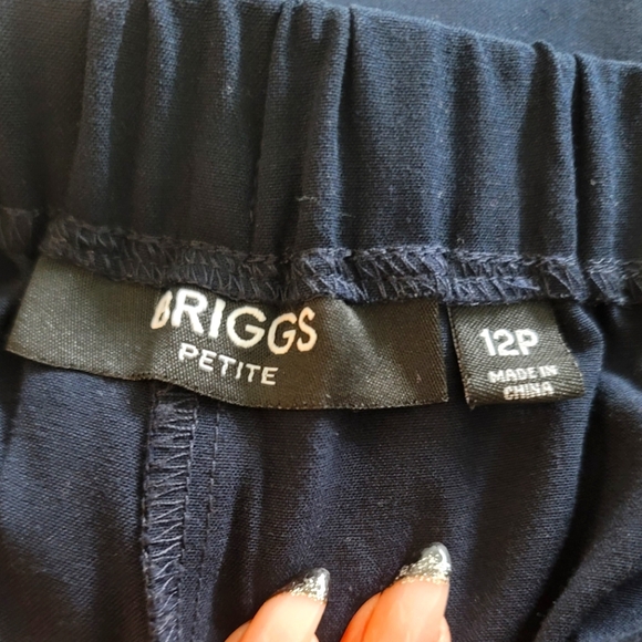 Briggs Petite Navy Slacks (12P) - Picture 2 of 14